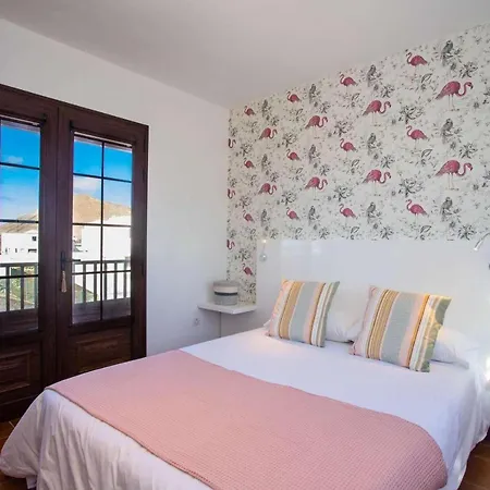 Palmera Vegueta Villa La Vegueta